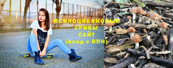 PSILOCYBIN Алзамай