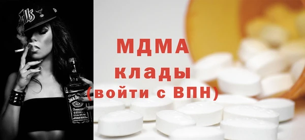 PSILOCYBIN Алзамай
