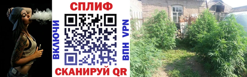 где продают Волжский МЕГА маркетплейс Шишки марихуана THC 21%